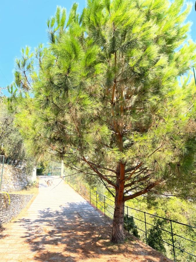 La Riviera Bed&Breakfast Bed and Breakfast Rapallo Exterior foto