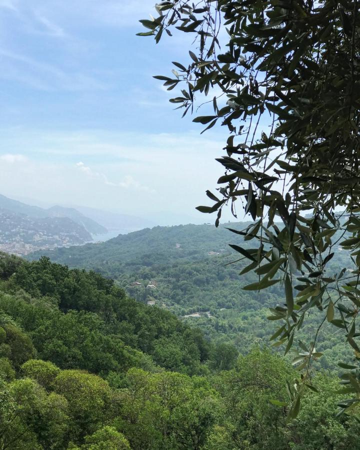 La Riviera Bed&Breakfast Bed and Breakfast Rapallo Exterior foto