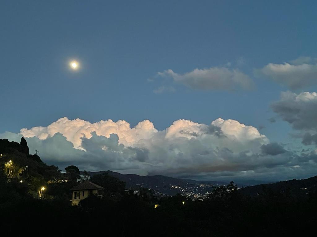 La Riviera Bed&Breakfast Bed and Breakfast Rapallo Exterior foto