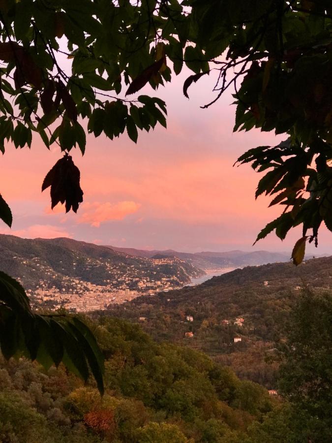 La Riviera Bed&Breakfast Bed and Breakfast Rapallo Exterior foto
